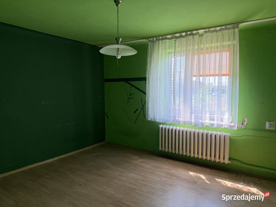 Siedlisko z lasem i łąką Zawady gm Kampinos sprzedam