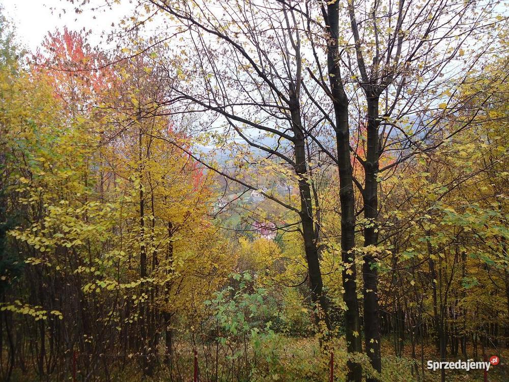 dom letniskowy całoroczny Poręba kMyślenic Myślenice