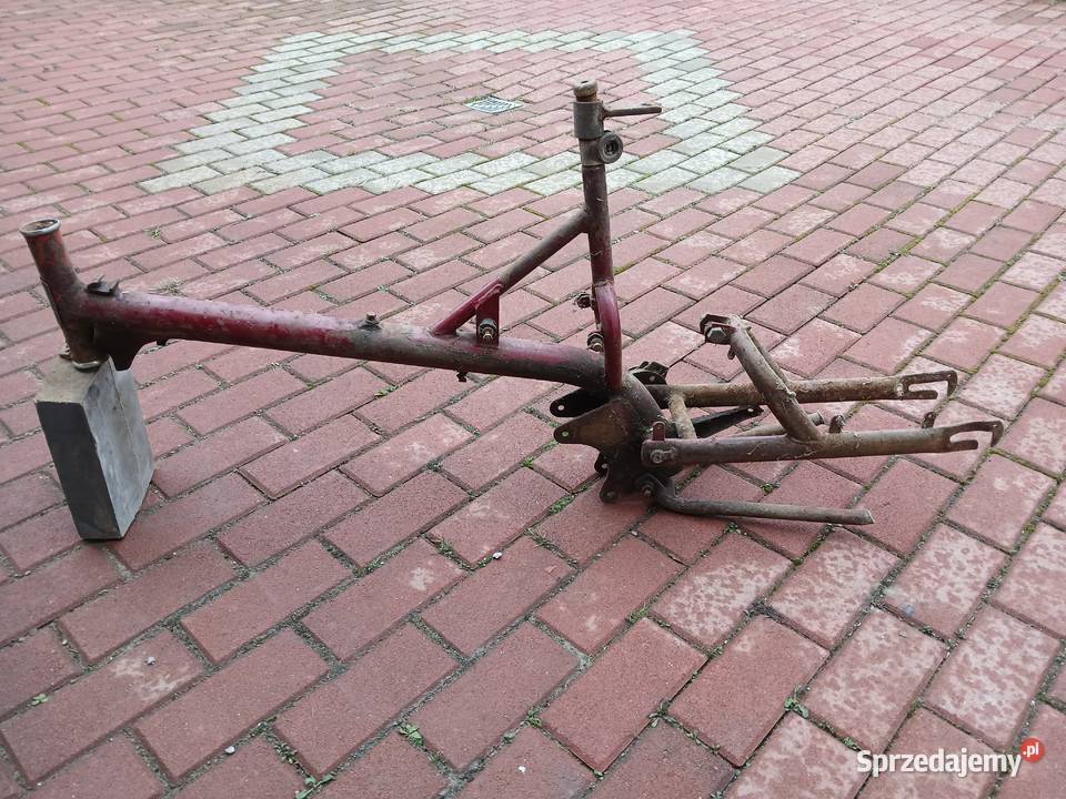 Żak rama wielkopolskie Września