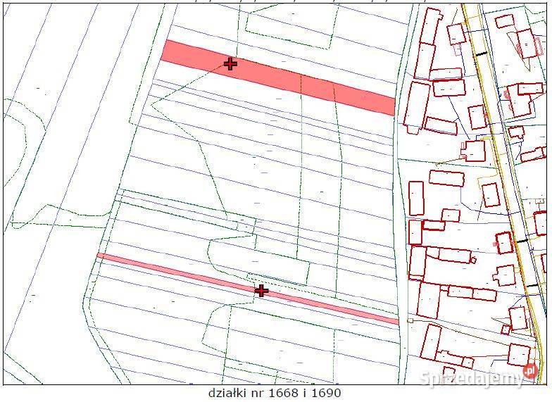 Syndyk sprzeda siedlisko Nieruchomości
