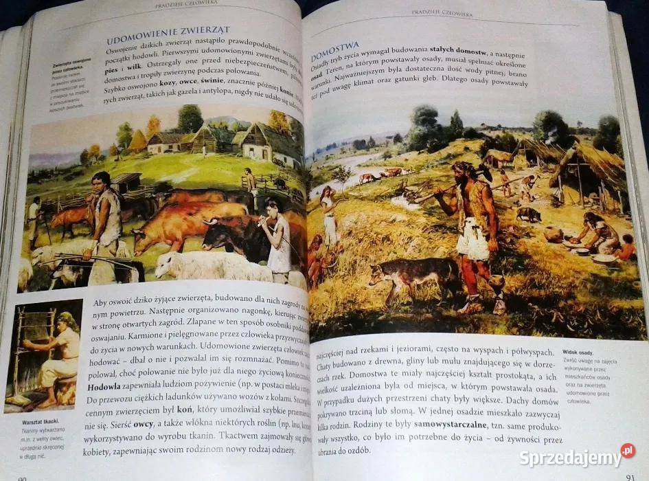 Dzień historio 4 W SurdykFertsch Bogumiła Wyrwa Pozostałe Chełm