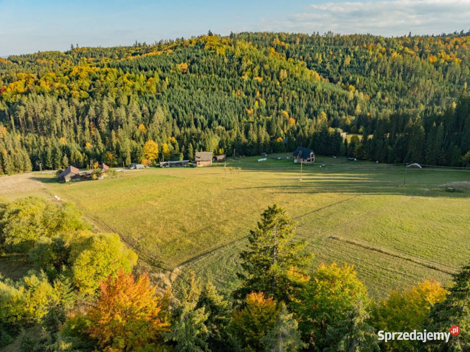 Działka budowlana Łapsze Niżne 2000m2