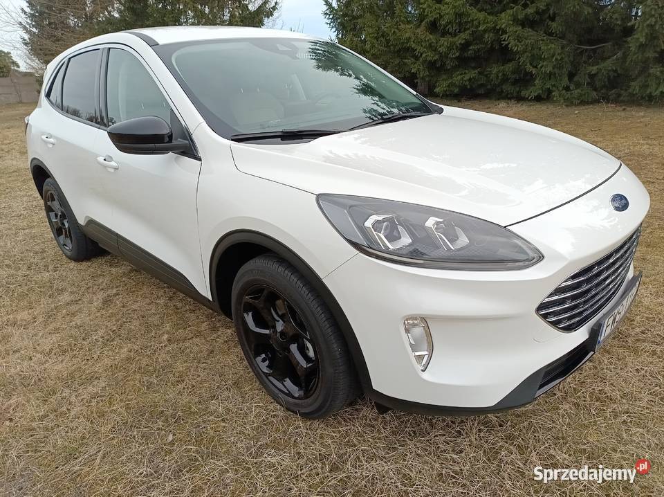 Ford Escape Kuga 2022r 69999 lubuskie sprzedam