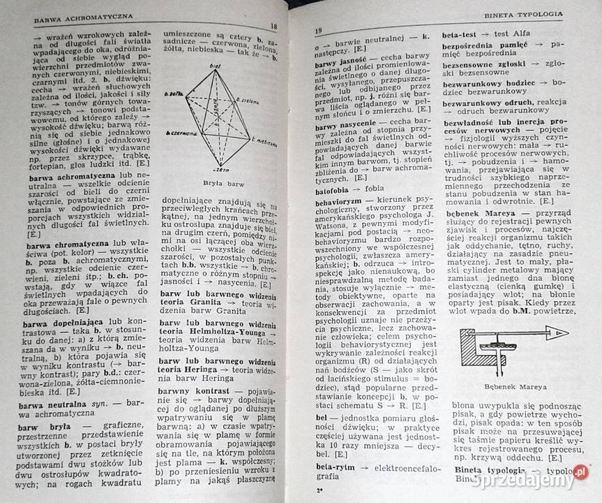Mały słownik psychologiczny J Ekel J Jaroszyński Pozostałe