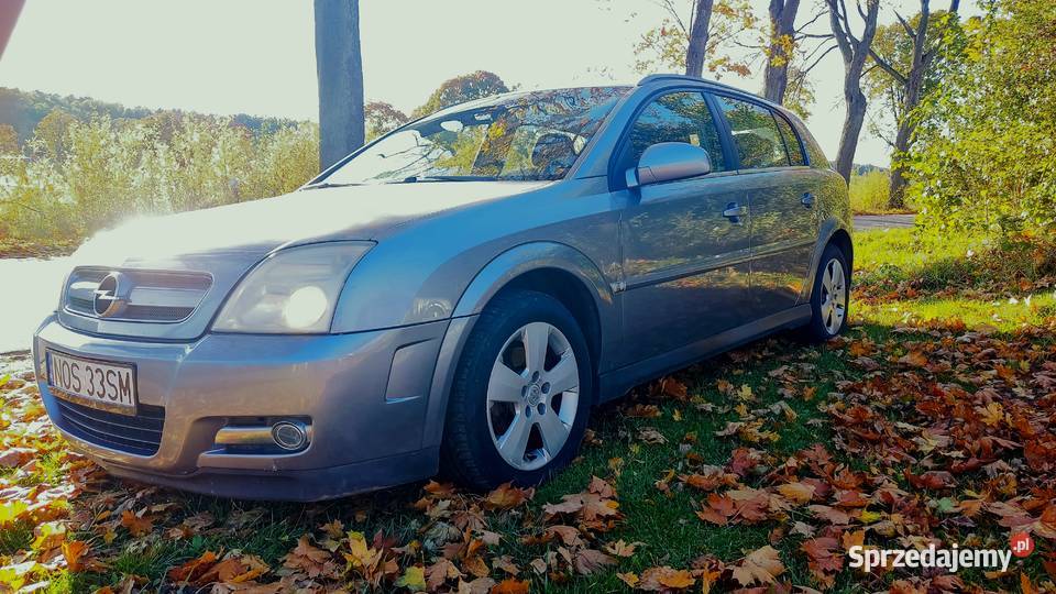 Opel Signum 1,9CDTI 120KM 2004r hak