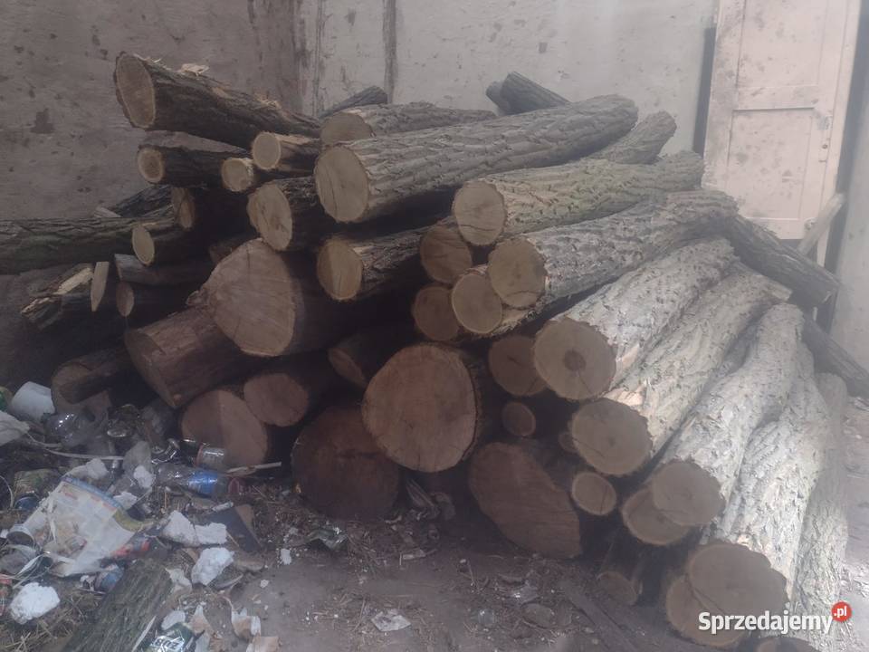 Drewno sezonowane 535197837 Bojadła