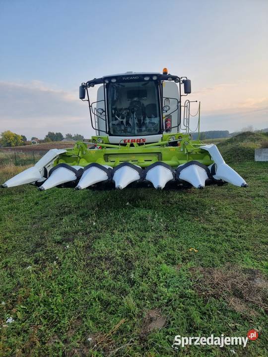 Przystawka kukurydzy cllas Pólko