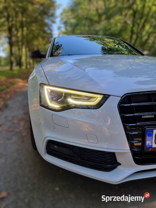 Audi A5 20 TDI Quattro Stronic Niski przebieg CD Nysa