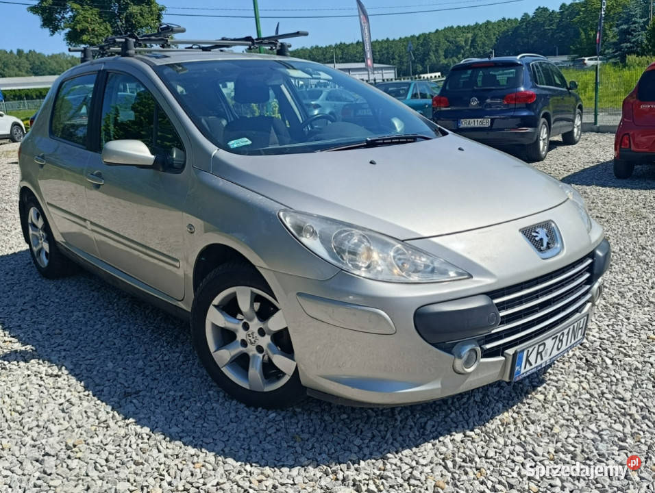 Peugeot 307 Krajowy benzyna 16 klimatyzacja II sprzedam