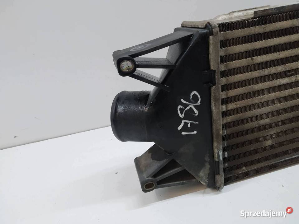INTERCOOLER Iveco Daily III 19992014 Rok produkcji 2005 świętokrzyskie