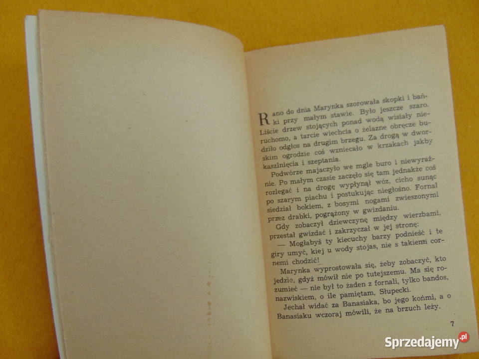 Dzikie ziele Maria Dąbrowska Lublin