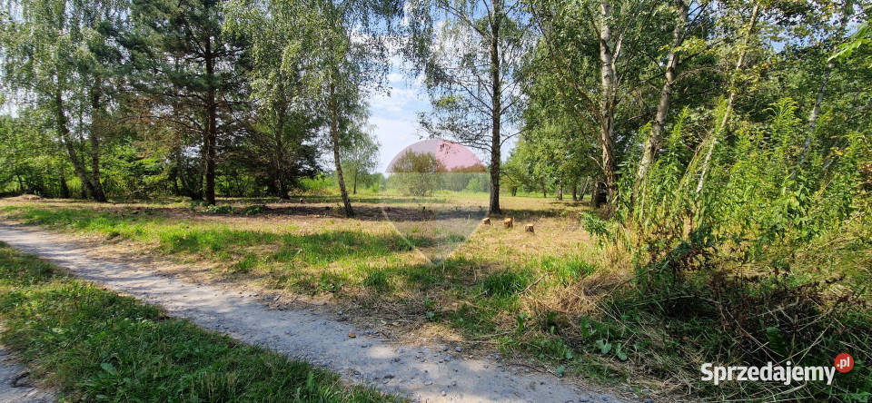 Działka z potencjałem budowlanym 1426 m Bielicha