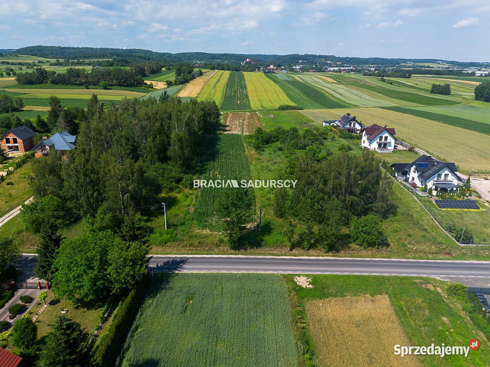 Działka 8300 metrów Cholerzyn