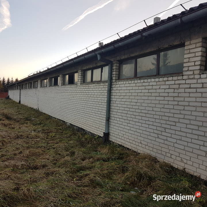 Inwestor współpraca stacja demontarzu pojazdów Krosno