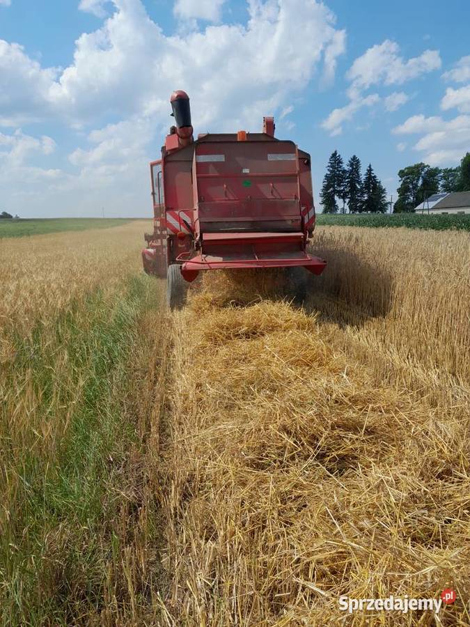 Kombajn zbożowy massey ferguson 560 Wola Zadybska sprzedam