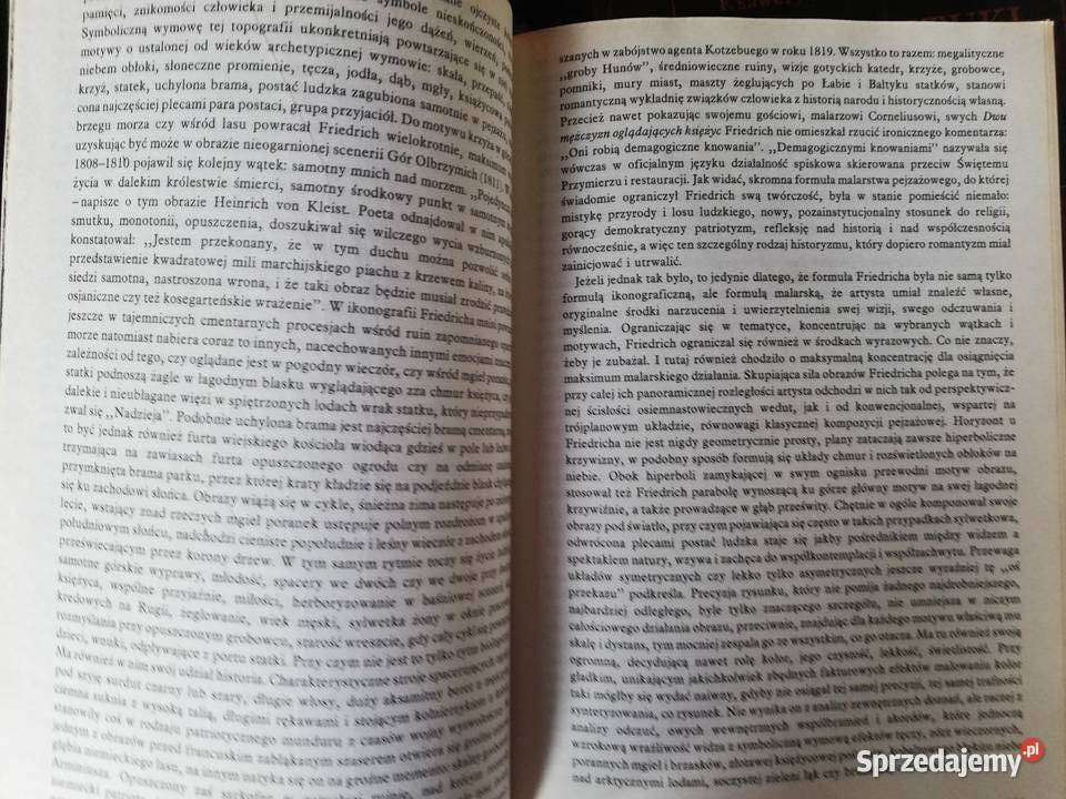 Historia sztuki w zarysie Mieczysław Porębski twarda Kraków
