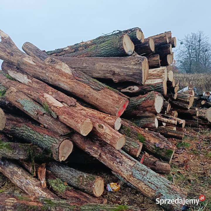 Drewno opałowe kominkowe dąb
