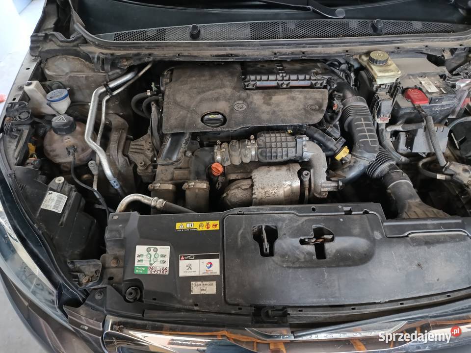 Peugeot 308 16 bluehdi salon Polska