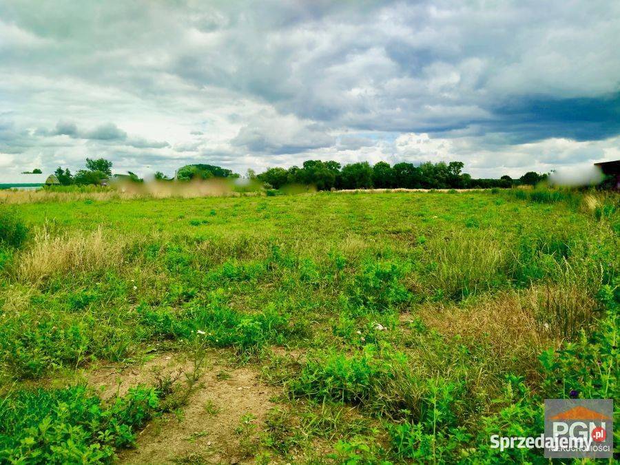 Działka Trzebiatów 22000m2 Nieruchomości