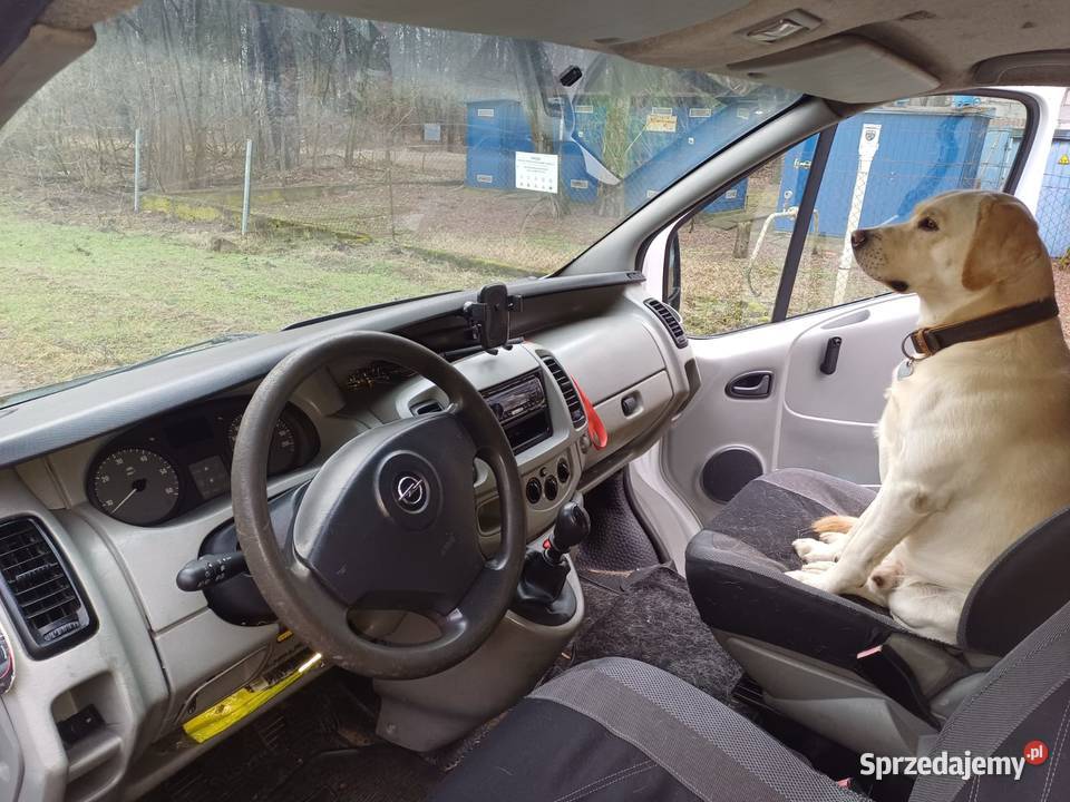 Opel vivaro 19 cdti 2007 mazowieckie Warszawa sprzedam