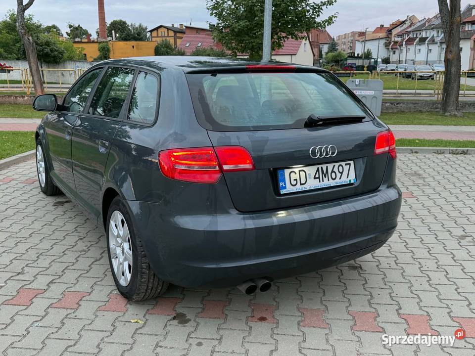 Audi A3 8P Sportback 19 TDI 105 2009r Diesel Malbork