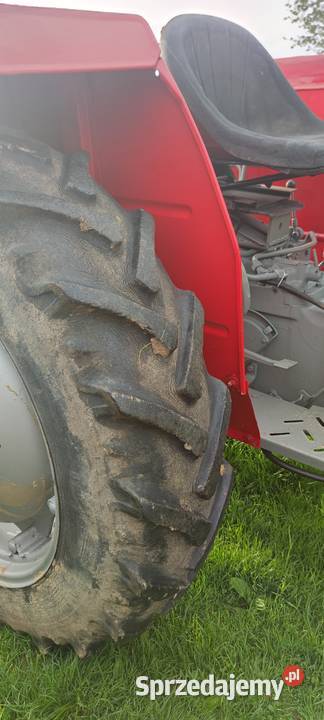 Sprzedam Straszydle sprzedam