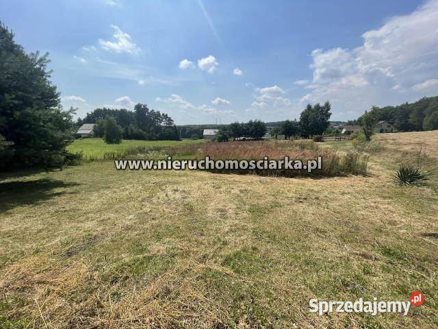 Działka do sprzedania Skrzyszów 3498m2 Sprzedaż śląskie