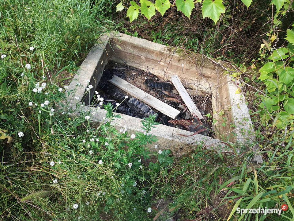 Na sprzedaż działka rekreacyjna ROD 250m2 Gorzów Wielkopolski
