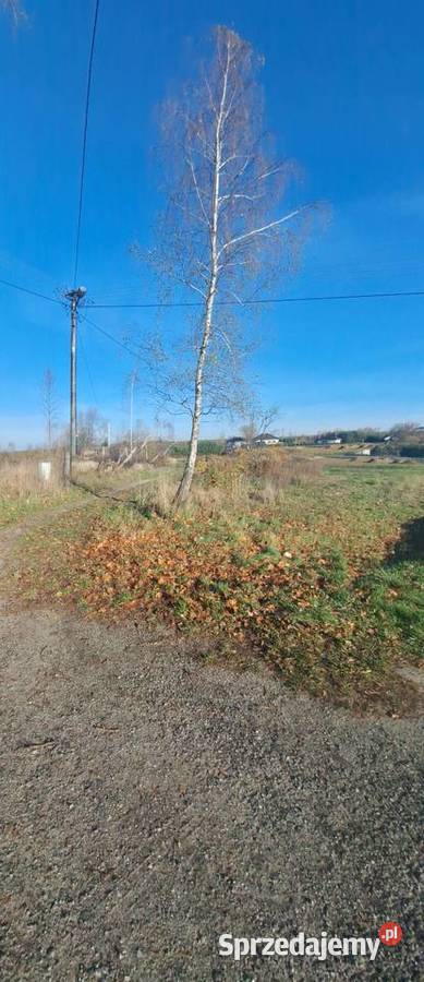 Działkę sprzedam Budzyń Przytyki sprzedam