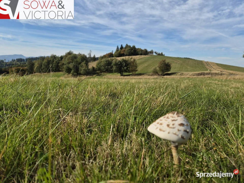 Widokowa działka z wydanymi warunkami zabudowy w budowlana Sierpnica