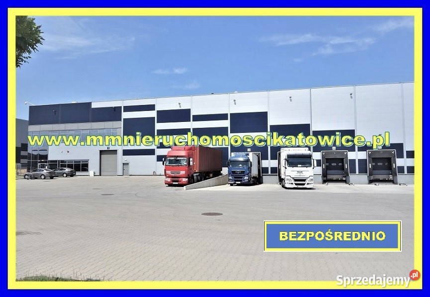 Magazyny do wynajęcia Siemianowice Śląskie śląskie