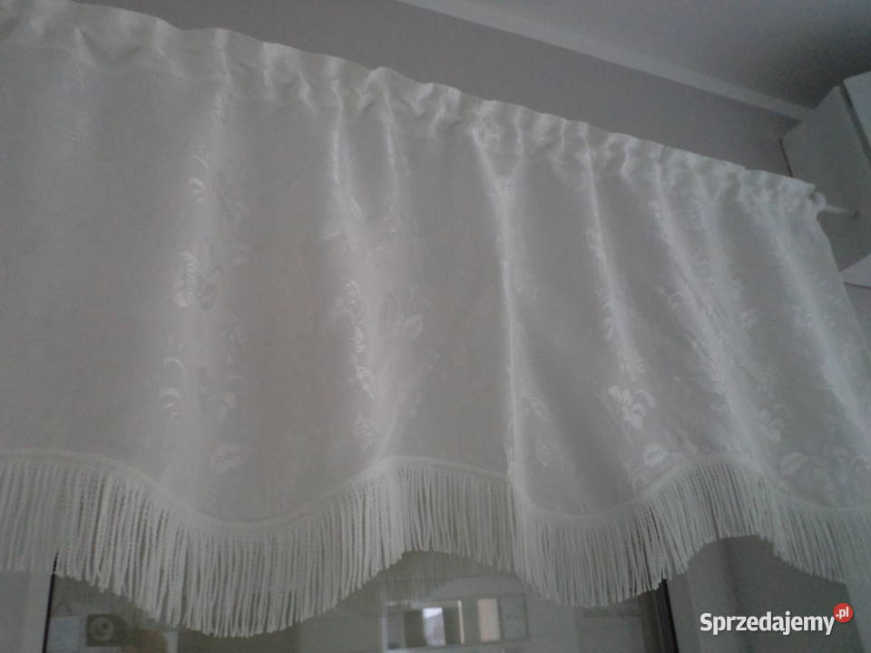 zazdroska lambrekin12550 Włocławek