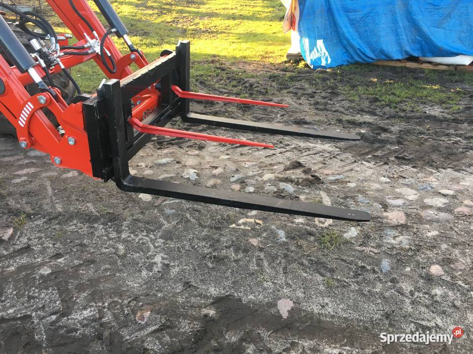 Paleciak tuleje kły świętokrzyskie Opatów