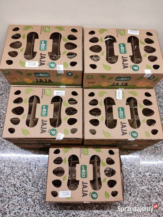 Opakowania wytłaczanki kartonowe na Głuchołazy