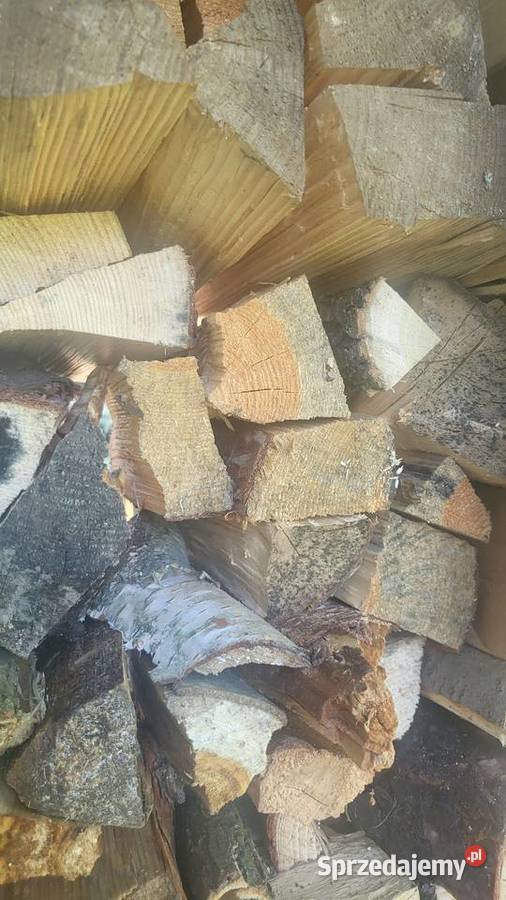 Rąbanie drewna ścinanie drzew porządki ogrodowe Biadoliny Radłowskie