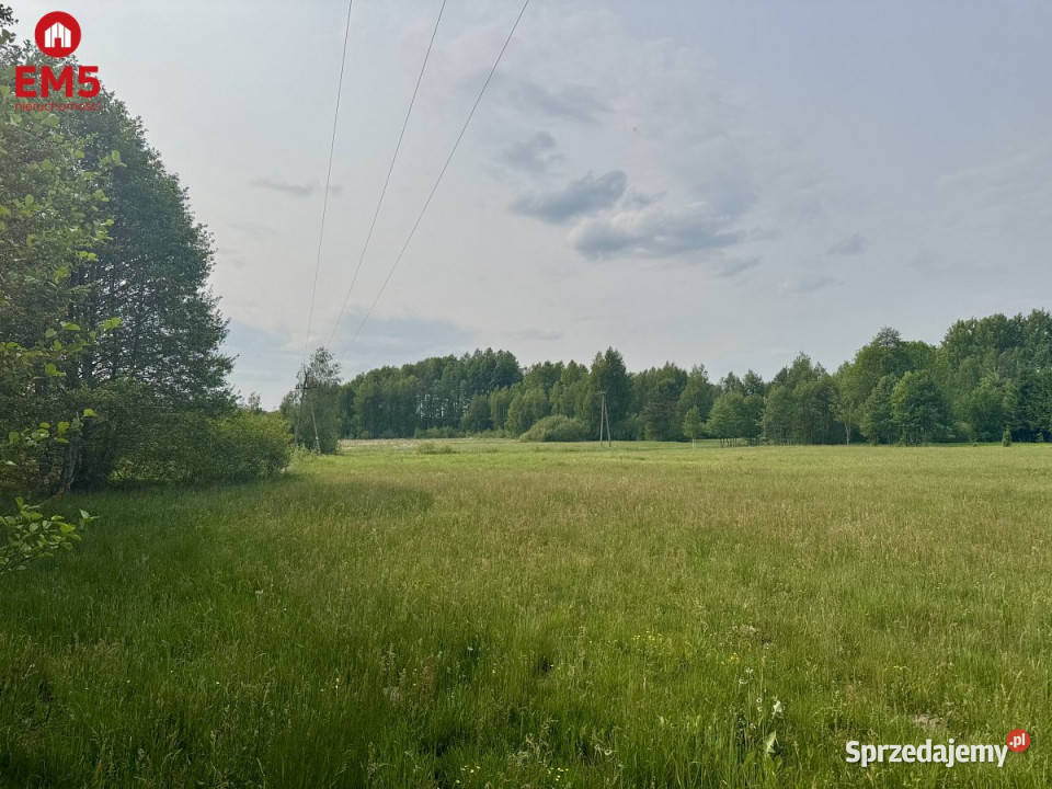 Grunt 2900m2 Kosmaty Borek