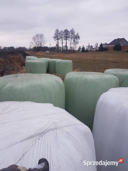 Sianokiszonka Lisowice sprzedam