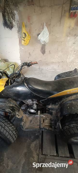Quad Bashan 150 Swochowo