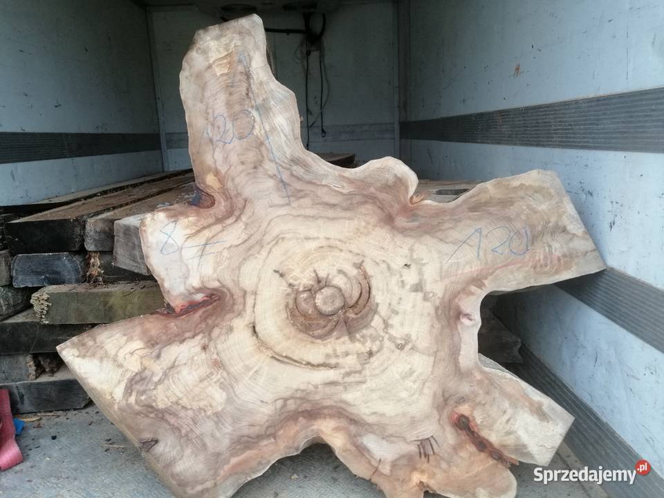 Stolik kawowy plaster wiązu 100 x 100 x7 100cm Przysucha sprzedam