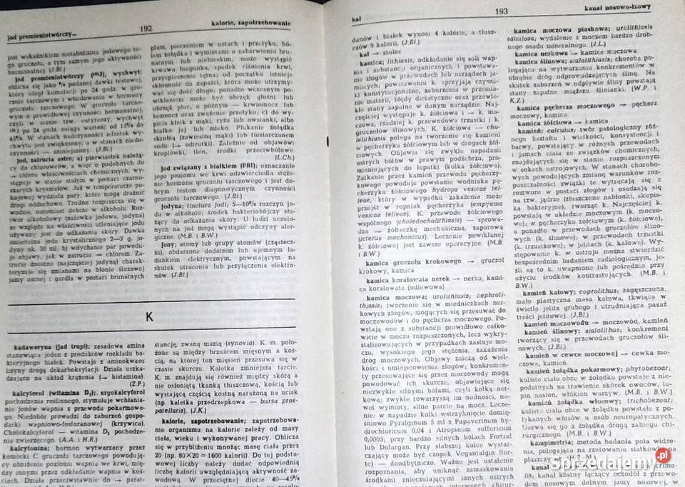 Encyklopedia pielęgniarek Red J Bogusz Chełm