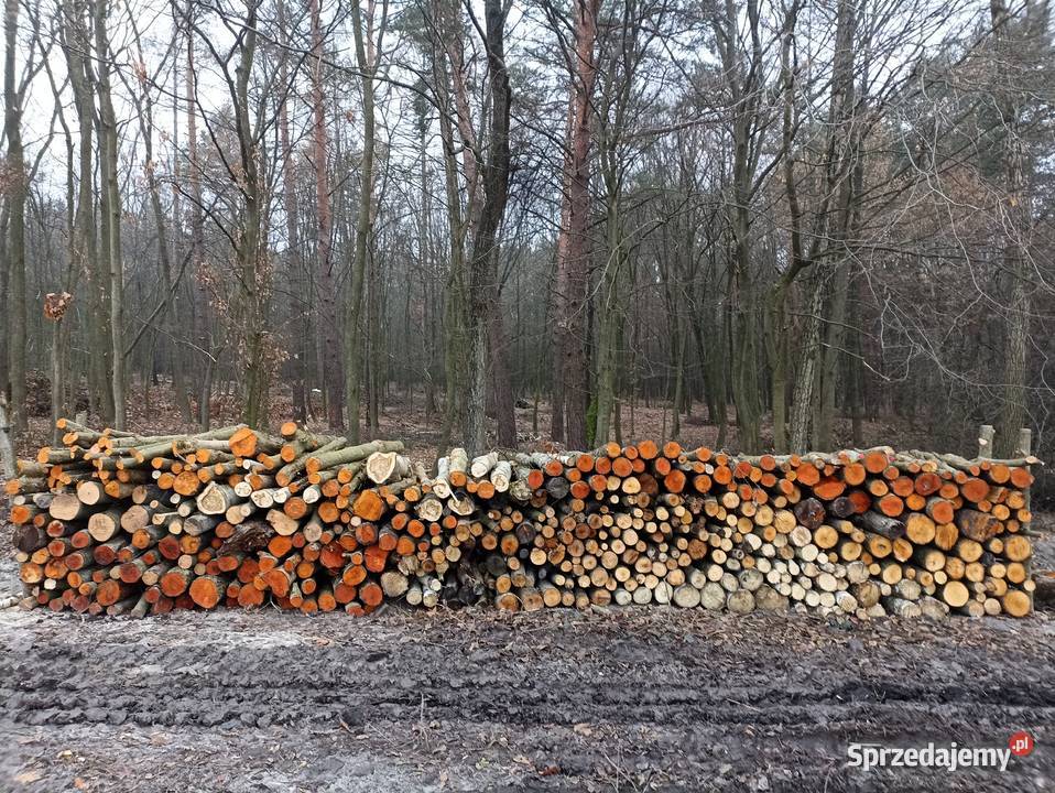 Drzewo opałowe mieszanka lubelskie Łabunie sprzedam
