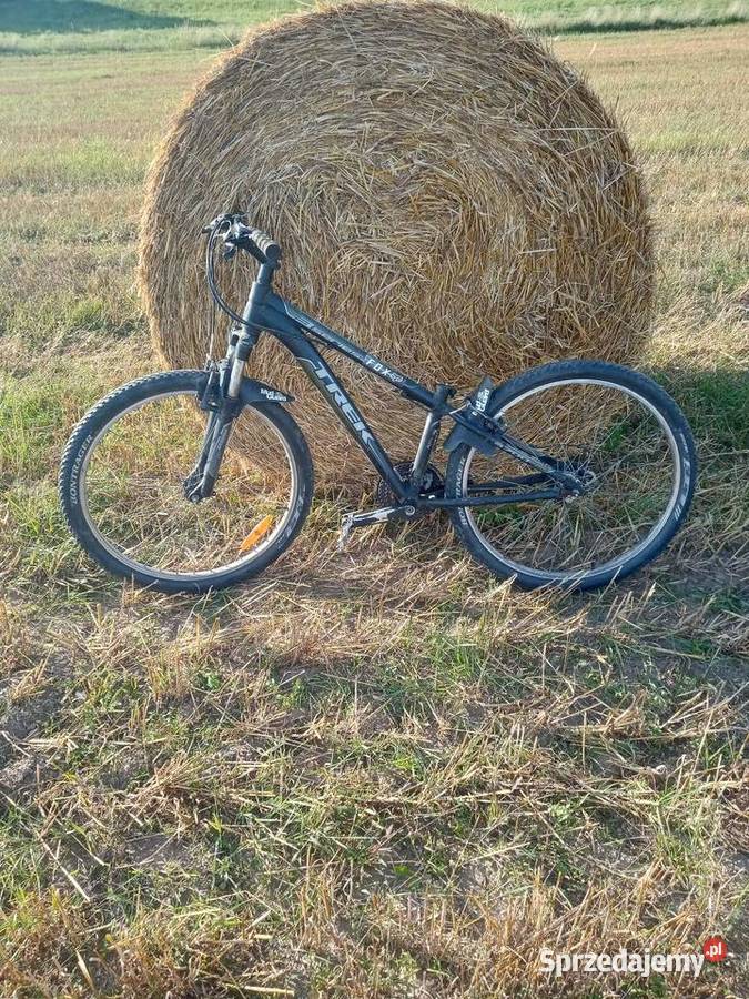 Rower trek Eseries Gdańsk sprzedam