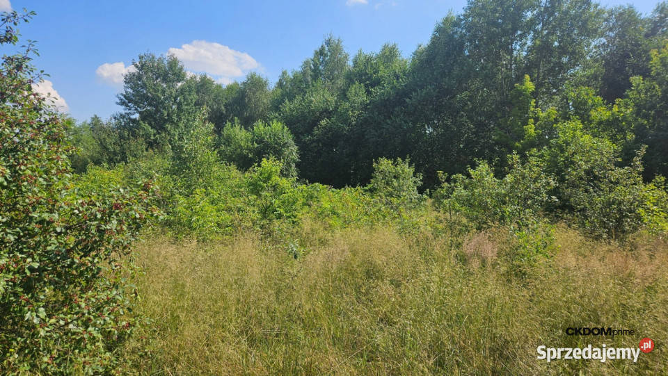 działka Wola Kopcowa