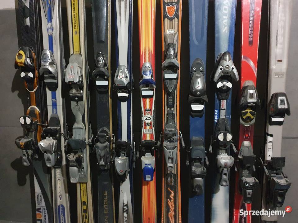 Sprzedam narty Heda Salomon Dynastar Rossignol