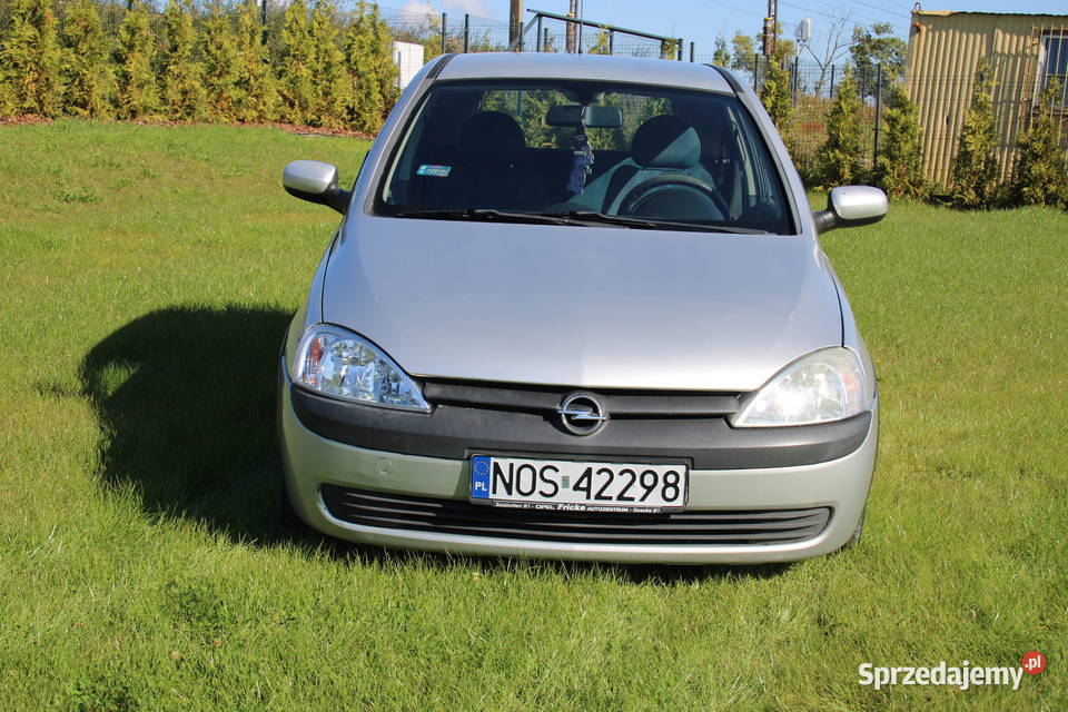 Opel Corsa C 12 Comfort 2001 302615 Sprawna RATY 1200cm3 Iława