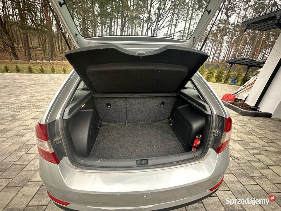 Skoda Rapid 90KM kujawsko-pomorskie Biały Bór