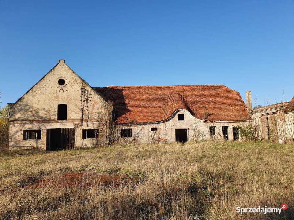Pałac z budynkami gospodarczymi Domy Kożuchów