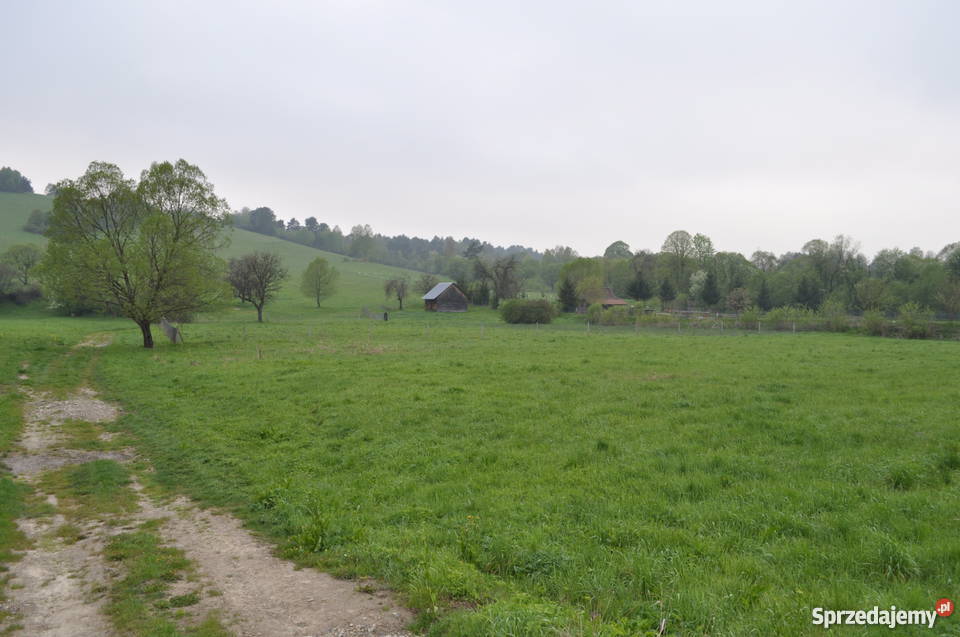 sprzedam działkę z domkiem Bieszczady rekreacyjna Wojtkowa