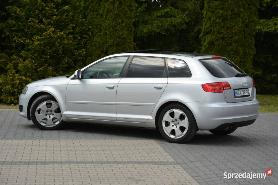 Audi A3 Lift DSG Panorama Skóry Duża Navi DRL Audi mazowieckie Ostrów Mazowiecka