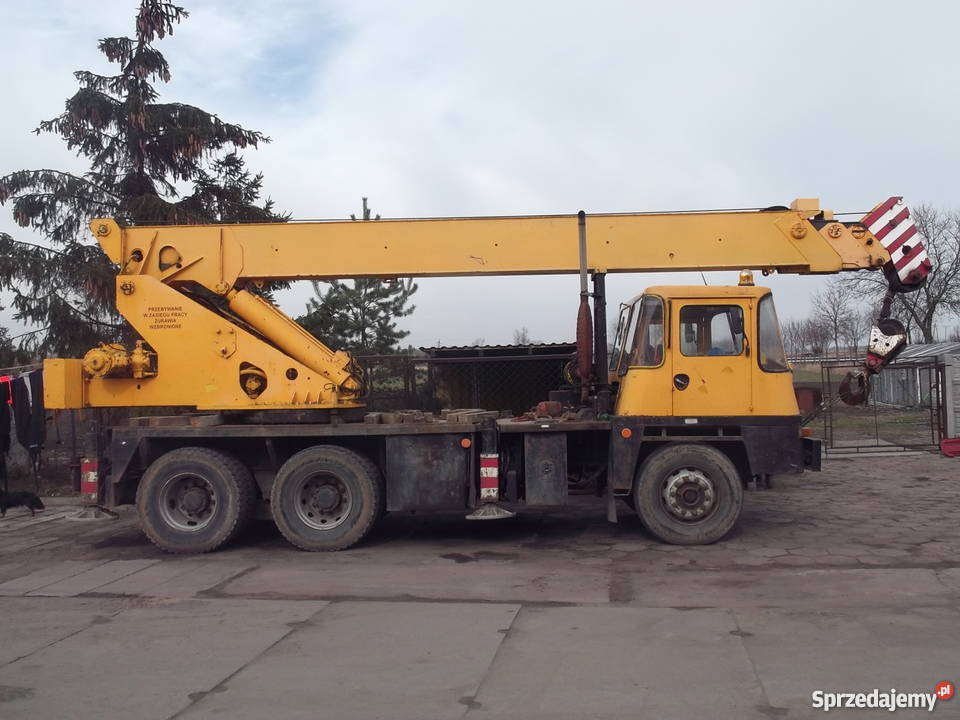 Coles 2022 Rokitnica